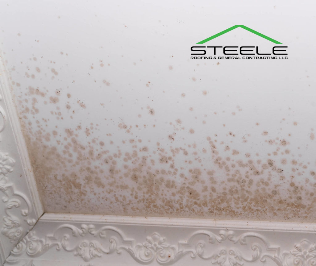What Happens If You Ignore a Roof Leak?