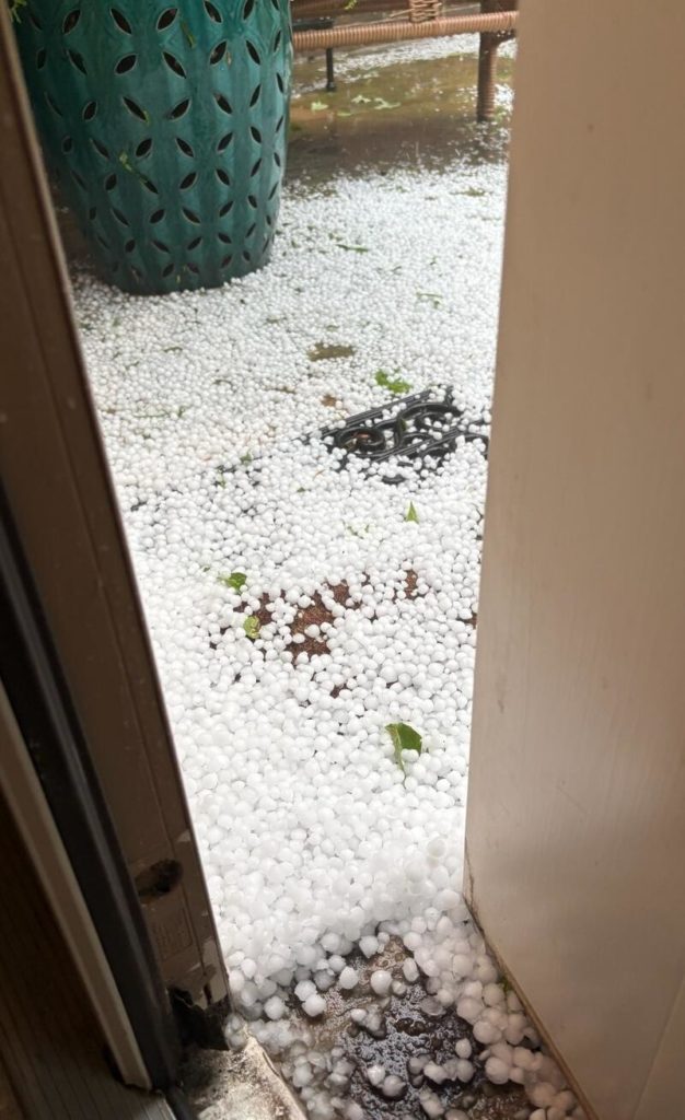fallen hail near tyler texas