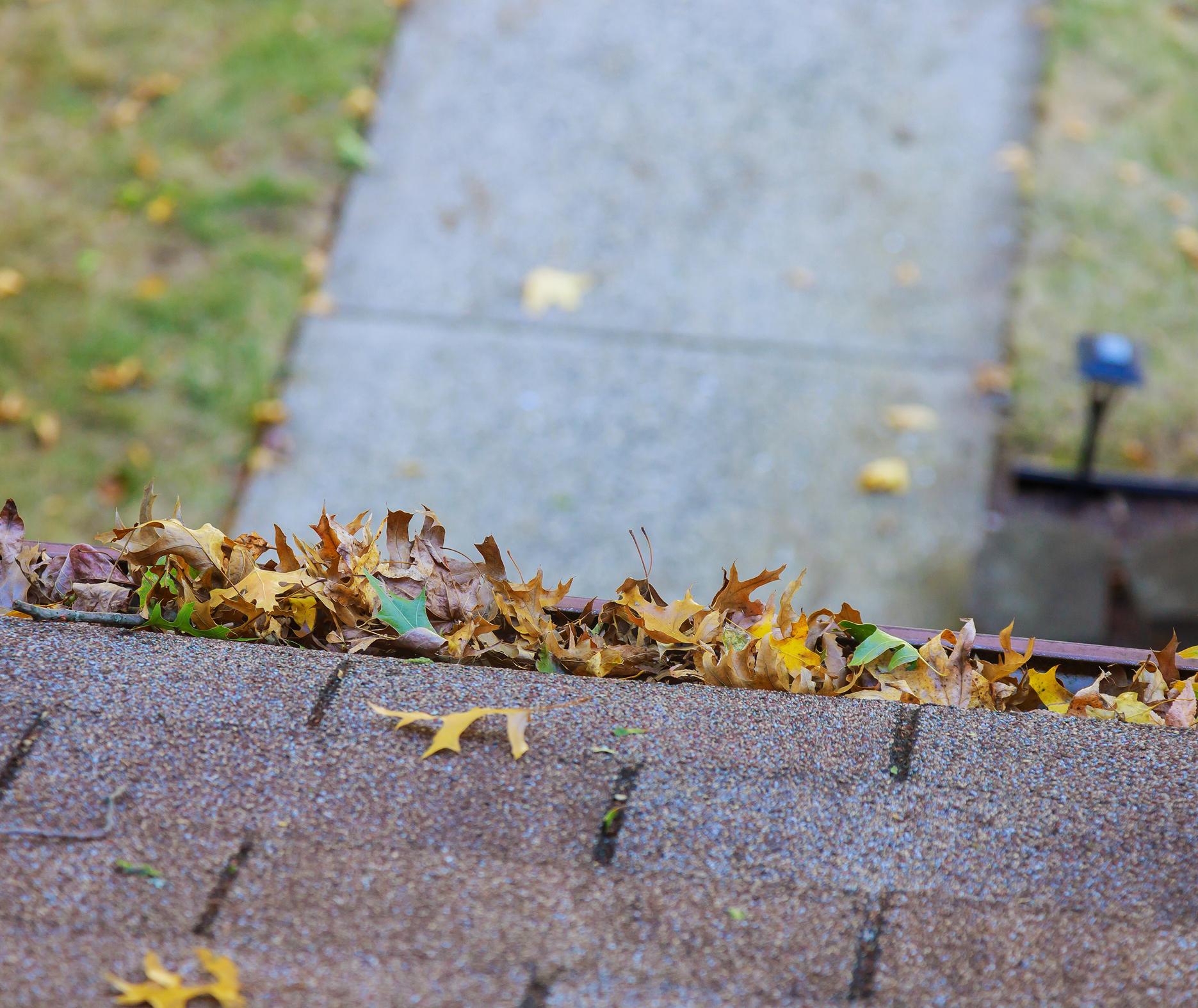 Gutter clogged with fallen autumn leaves at the edge of an asphalt shingle roof above a sidewalk